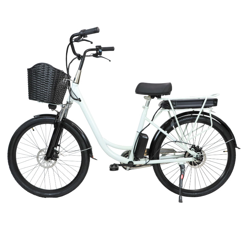 china electric bicycle factory Drop ship cheap aluminum alloy 350W 500W 1000W 36V 48V 1 – DISIYUAN EBIKE Shimano Super Baitrunner Aero DesignerName:Evan Gleason Color:fresh green