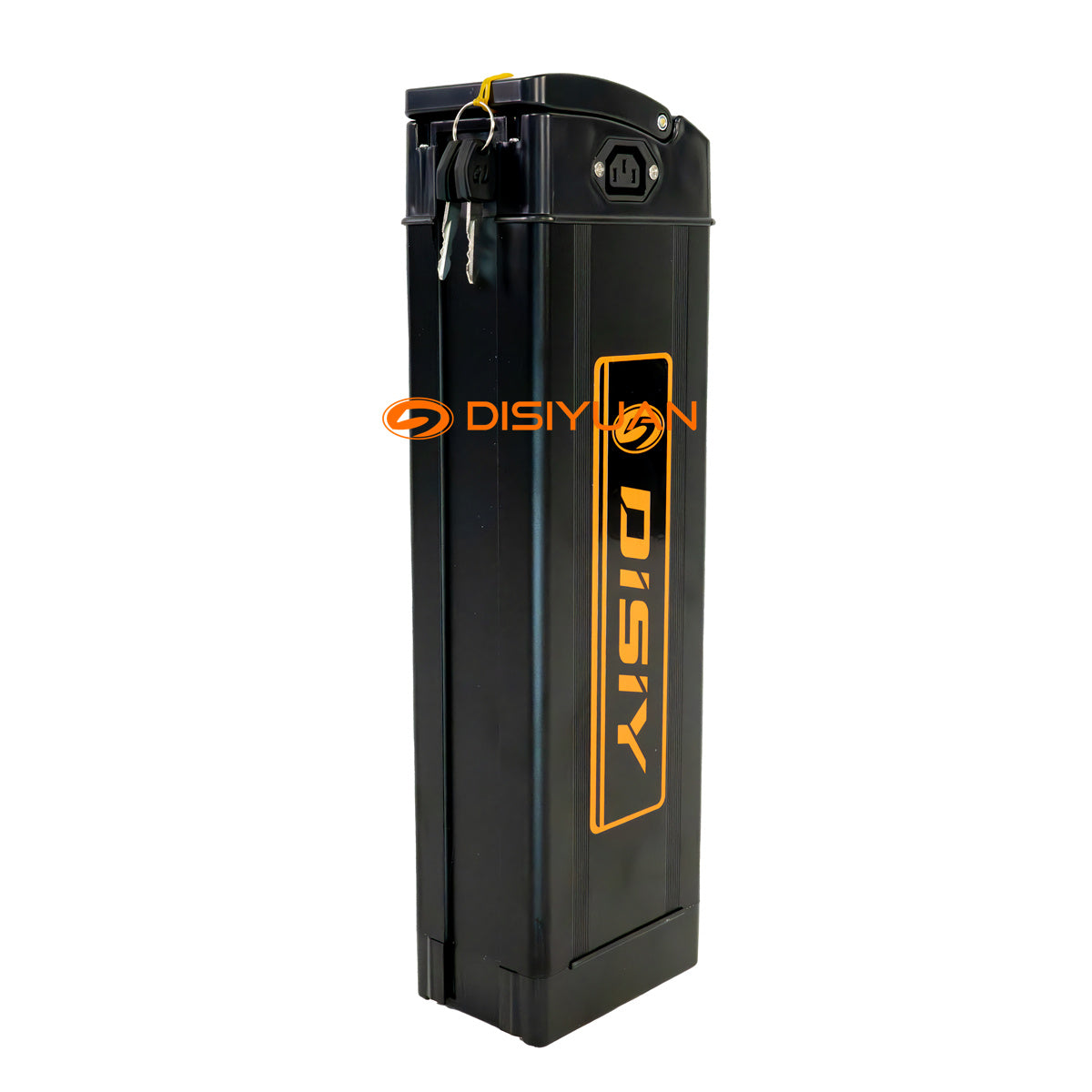 DISIYUAN New High Quality Brand Batteries Lithium Battery Electric Bik –  DISIYUAN EBIKE